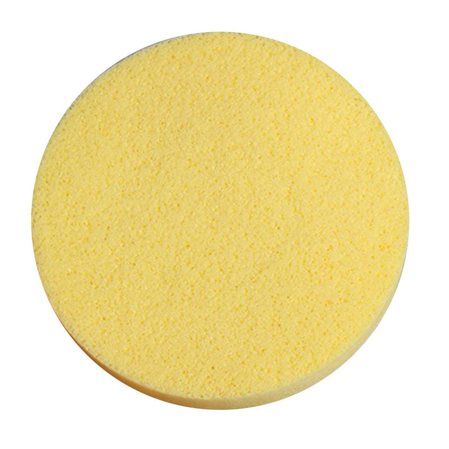 Makeup Sponge