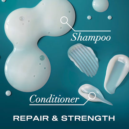 OGX - Renewing+ Argan Oil Of Morocco Repairing Shampoo - 385ml (Italy)